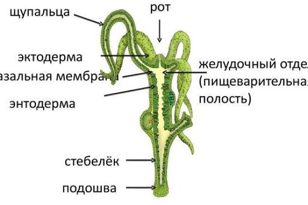 Магазин мефедрона