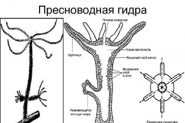 Дарк площадка кракен